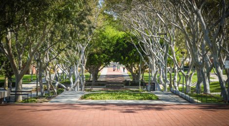 CSULB To Change President's Scholars Program; May End Full-Ride CSULB To Change President's Scholars Program; May End Full-Ride