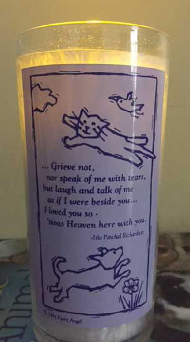 Euthanasia Protocol • the Hilo