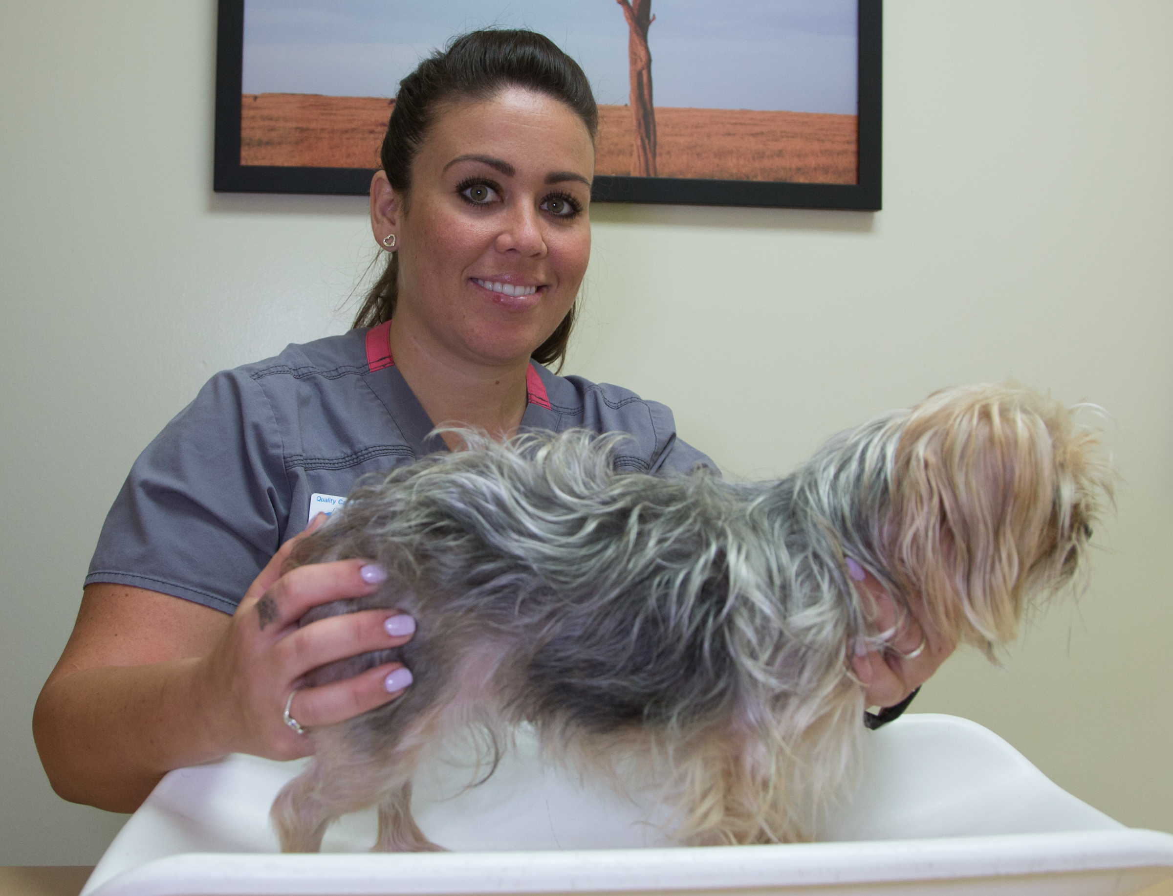 baby heartworms in dogs