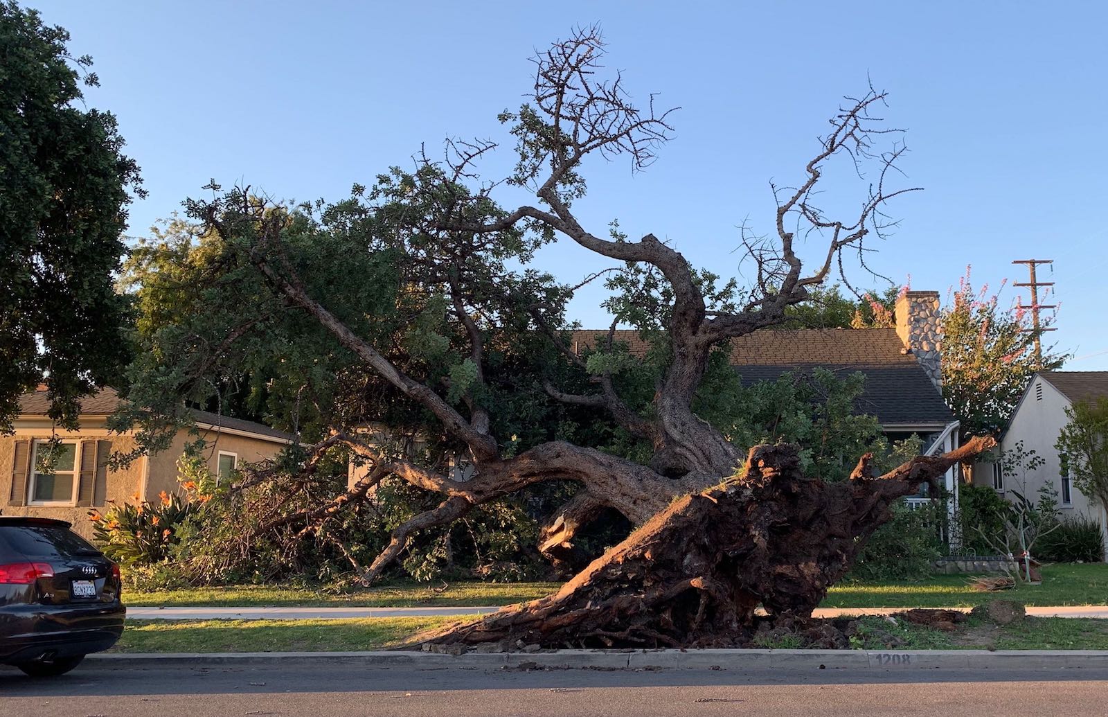 Gusty winds cause power outages, downed wires, 911 calls across Long ...