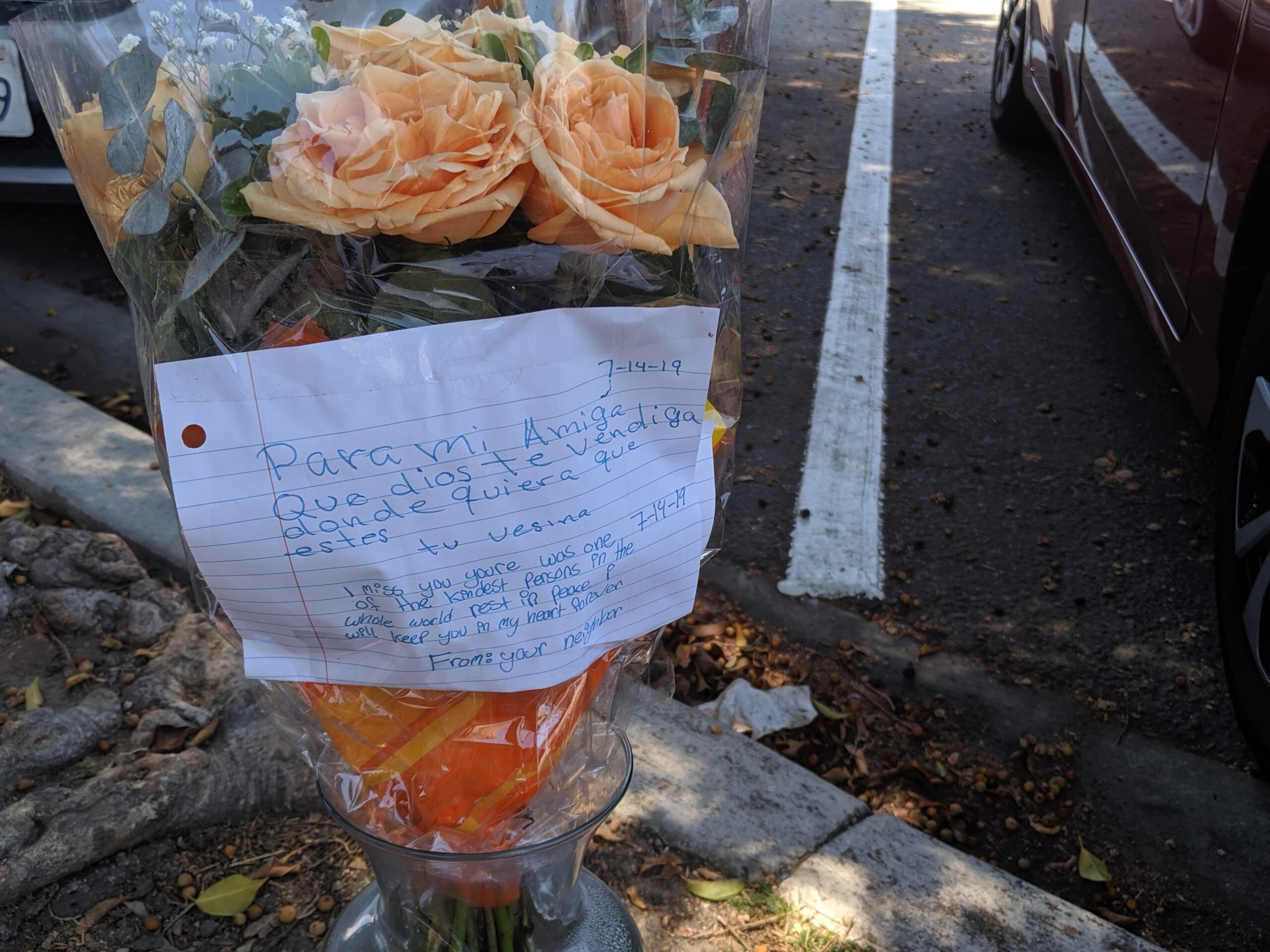 Suspect in shooting death of woman found near courthouse turns himself ...