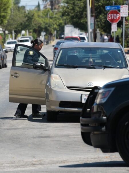 Cops have to treat marijuana in your car differently after new California Supreme Court ruling