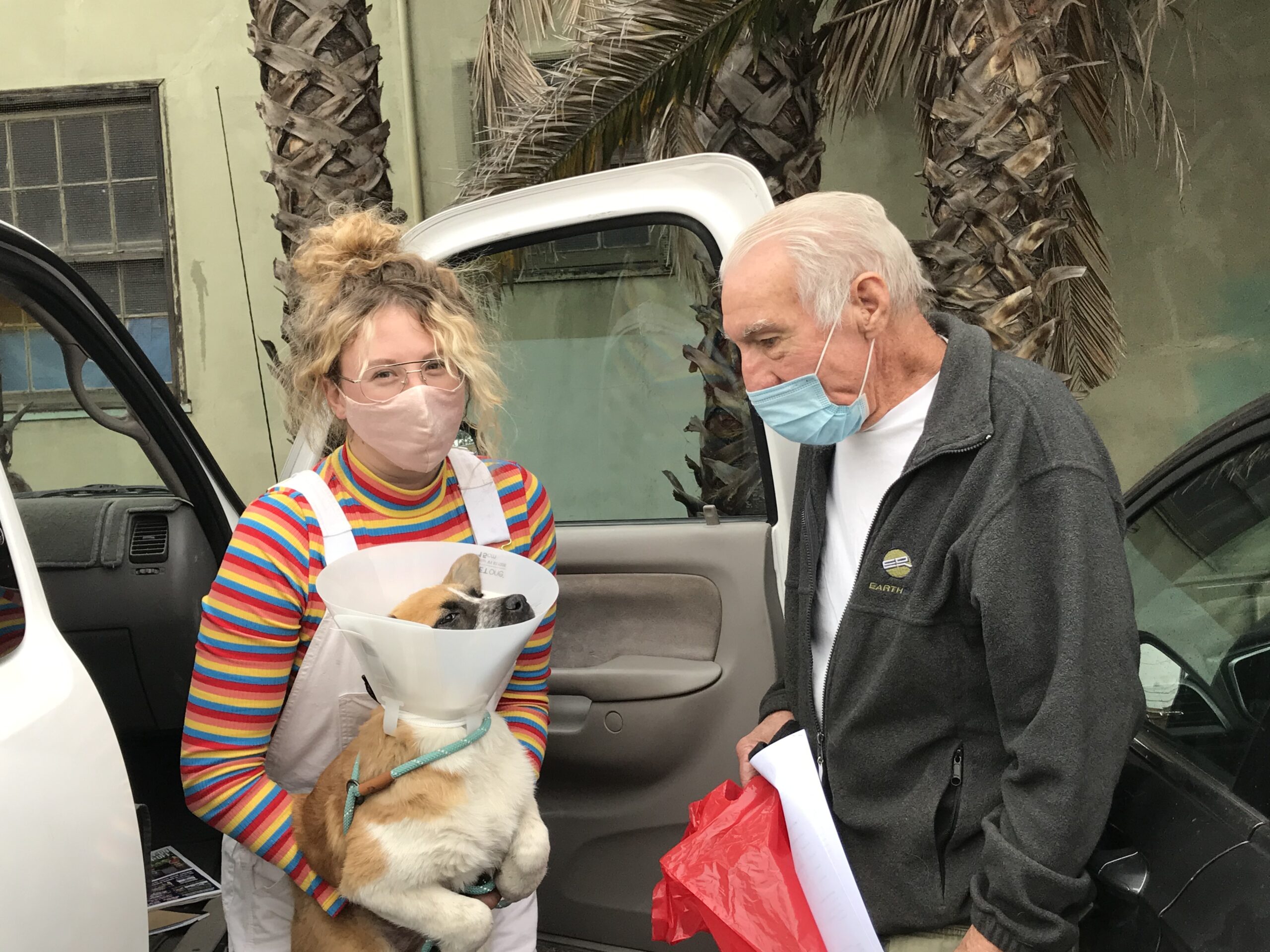 blonde woman with white apron and red-striped shirt holds smal brown dog in e-collar as dog's person looks on. Man is wearing mask.