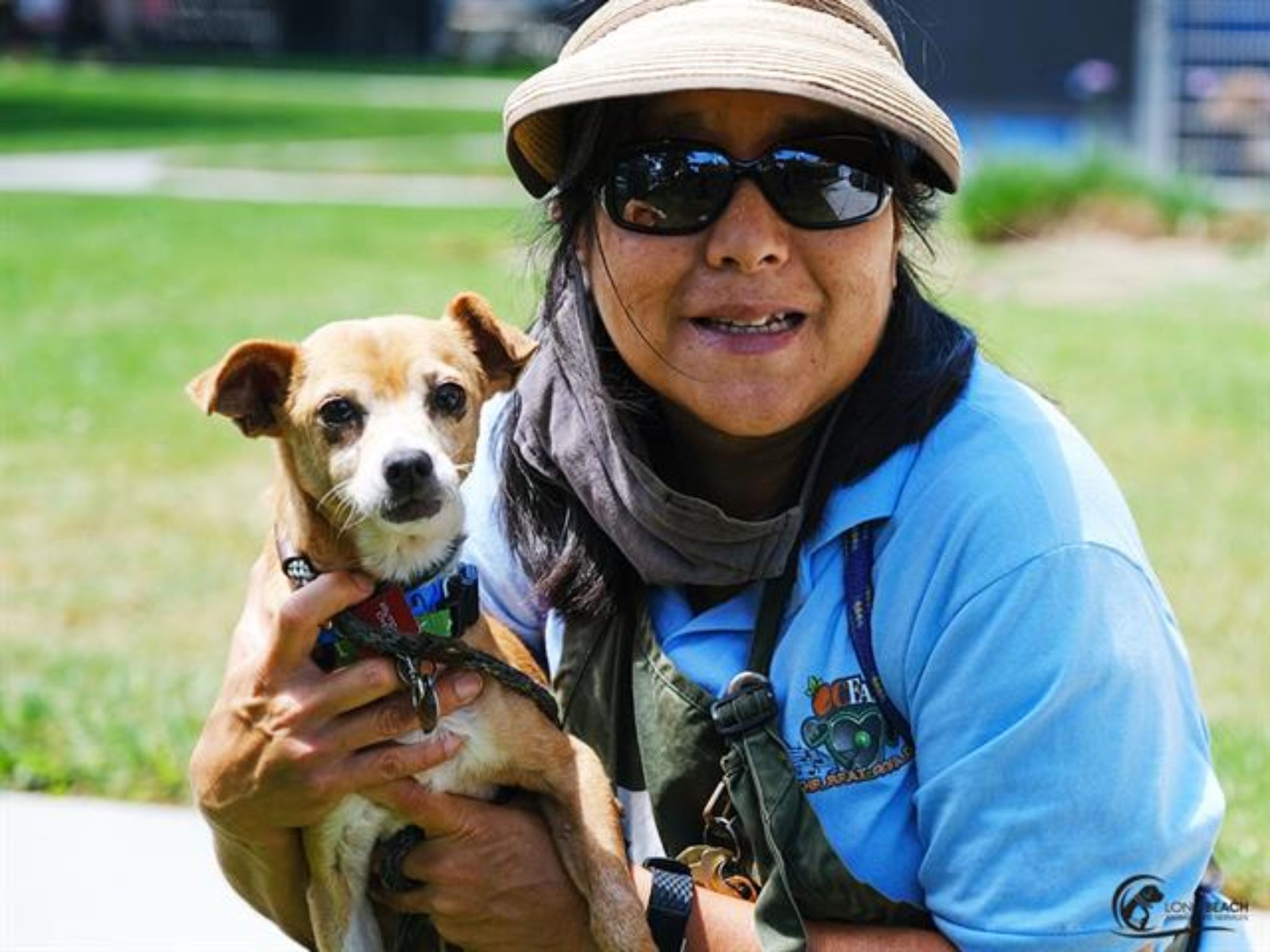 The Long Beach Animal shelter wants your input for its new strategic