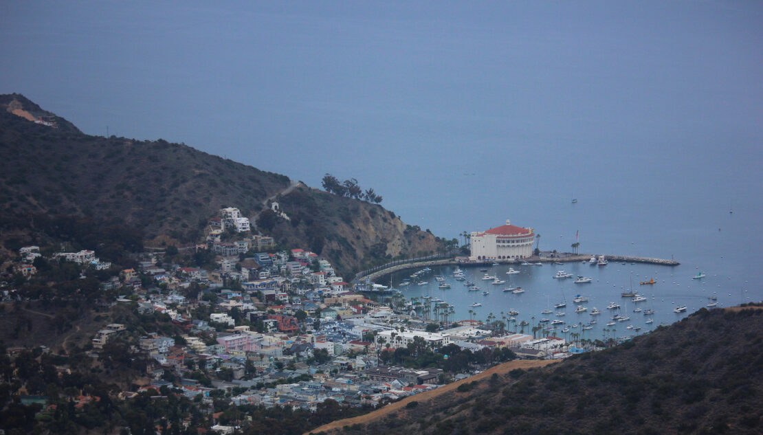 Man bitten by shark during swim competition near Catalina Island