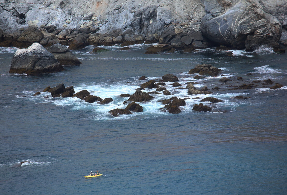 Shark bites kayaker near Catalina Island, lifeguards say • Long Beach