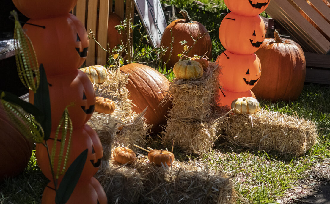 How to celebrate Halloween in Long Beach — whether you like tricks or treats