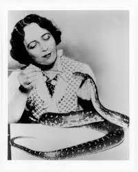 Local history: Long Beach's renowned snake whisperer, Grace Olive Wiley • Long Beach Post News - Vimarsana News