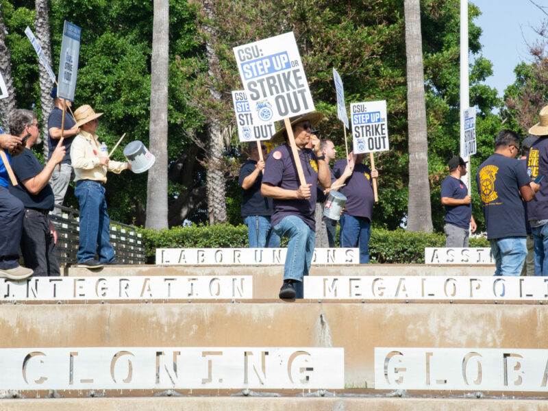 Union member protesters with signs reading "CSU: Step Out or Strike Out," whistle over steps that say words varying from "Labor Unions," "Integration," and "Cloning Global."