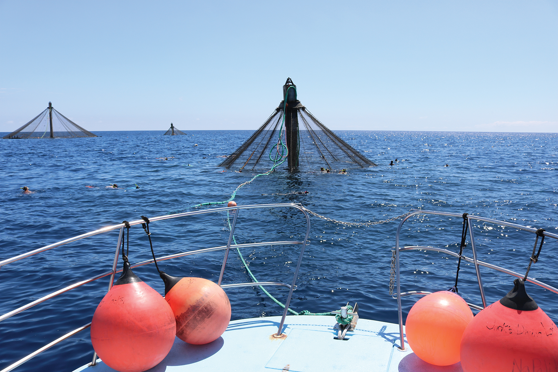 Poles with netting attached rise out of the ocean as people swim nearby.