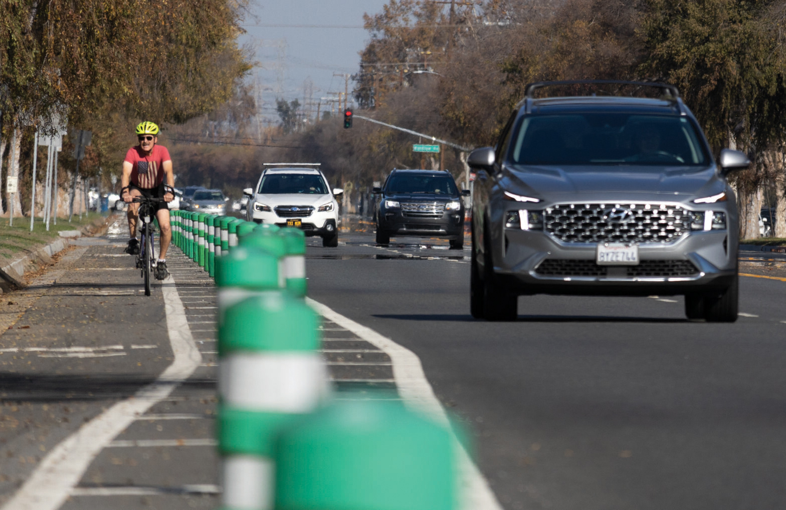 A cyclist rides in a bike lane that's protected from traffic with green bollards.