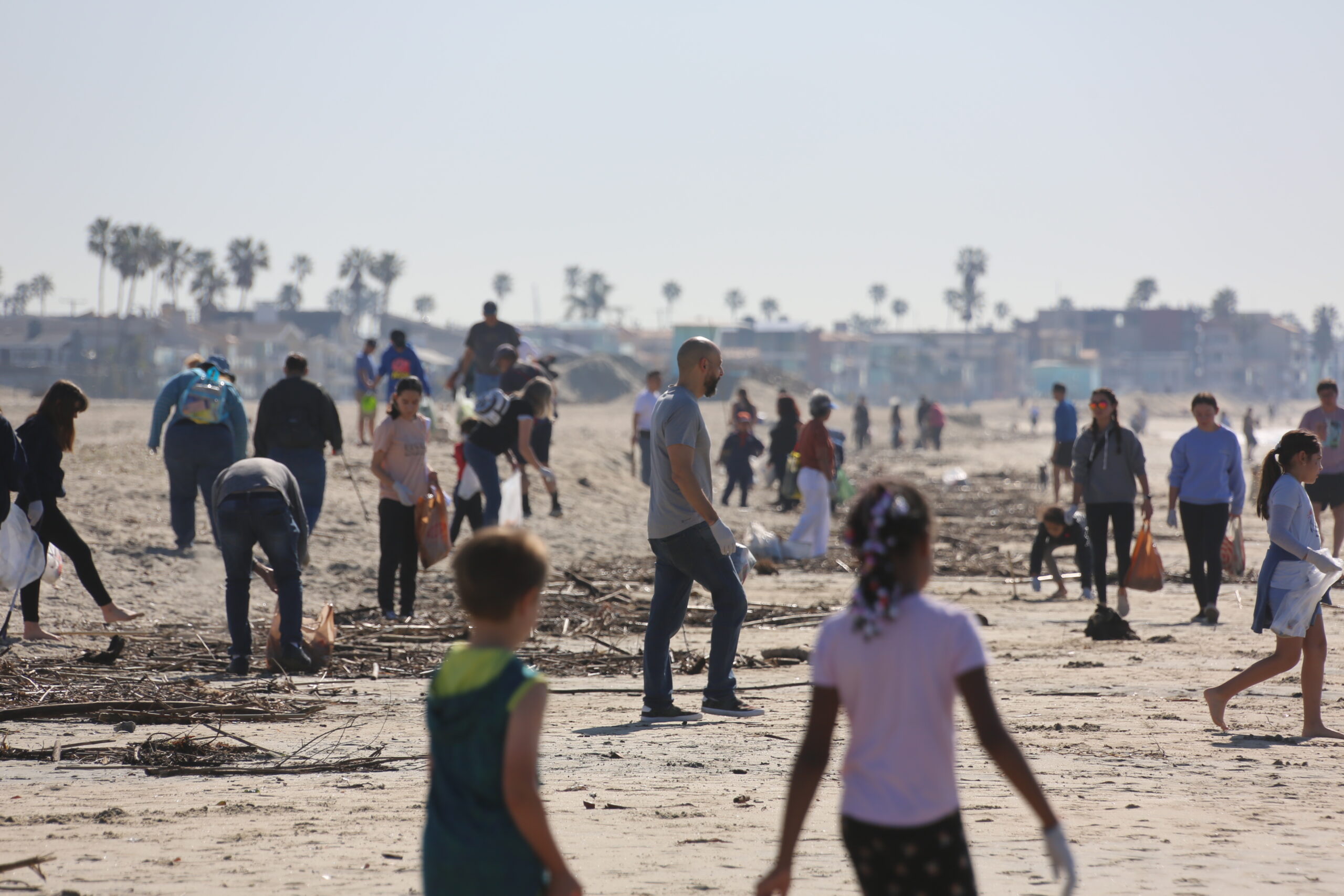 A beach is filled with people who are participating in a cleanup.