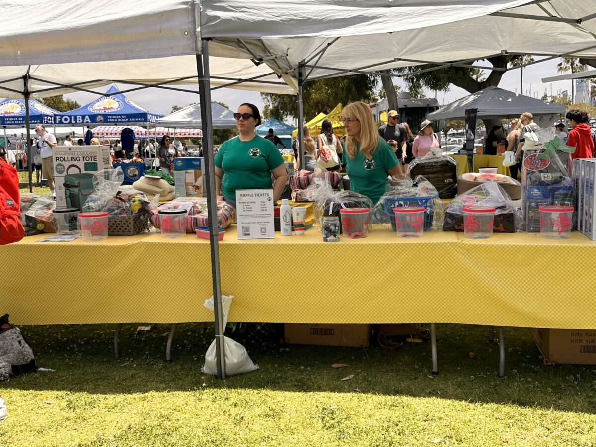 Photos 53 pets find new homes at 2nd annual Summer Pet Adoption
