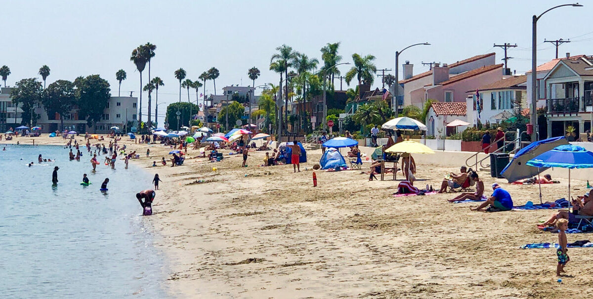Beach scene at the bay with dozens of people in swimsuits next to a street lined with palm trees.