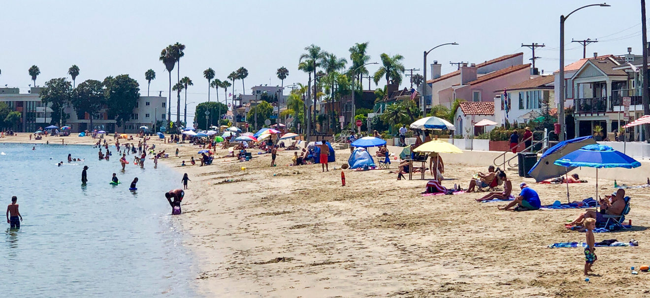 Beach scene at the bay with dozens of people in swimsuits next to a street lined with palm trees.