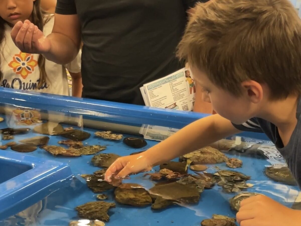 Shark Lab’s monitoring system could shut down due to budget cuts