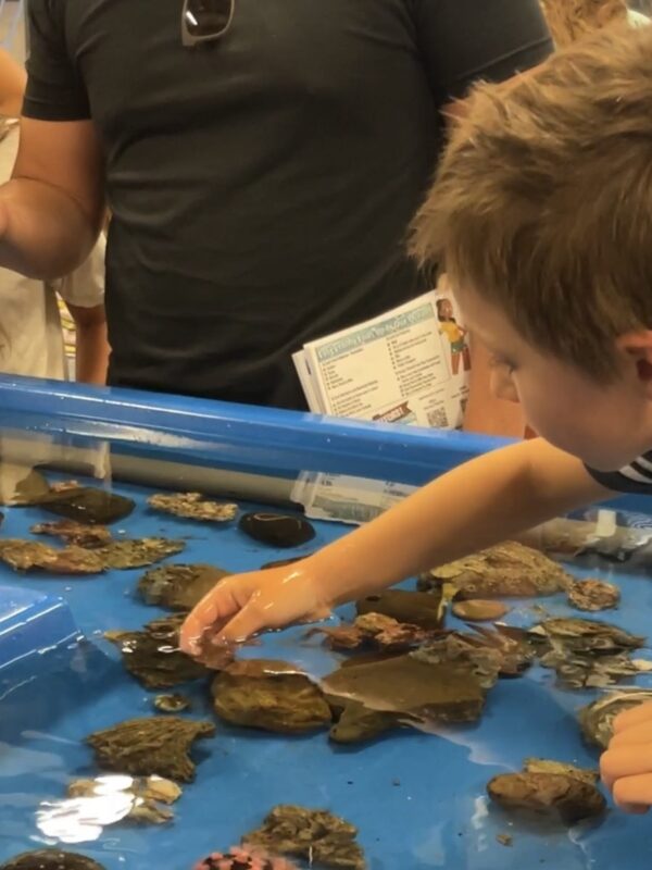 Shark Lab’s monitoring system could shut down due to budget cuts