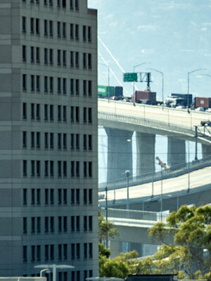 Woman killed in rollover crash on International Gateway Bridge