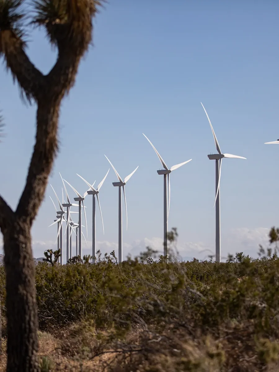 California’s wind and solar projects face new federal hurdles