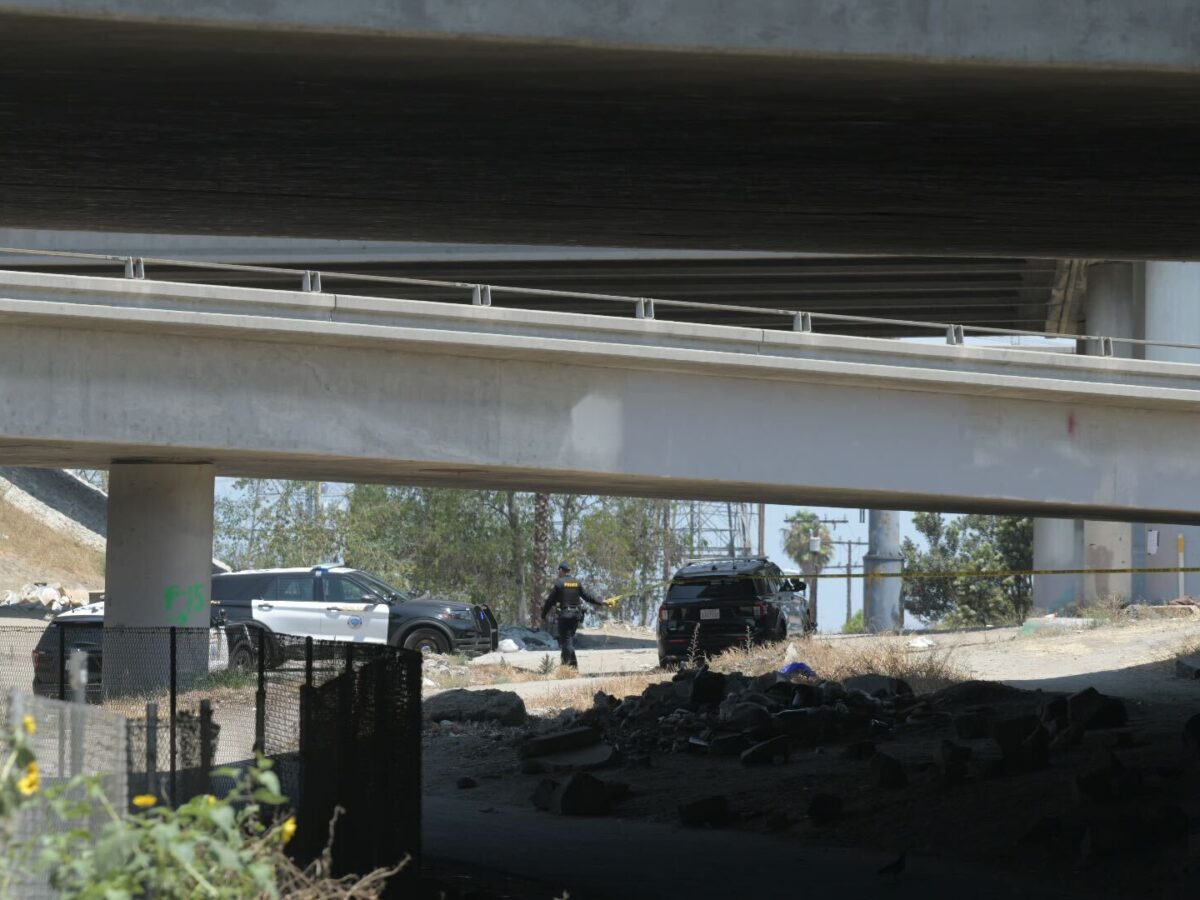 Homeless man found shot to death under 91 Freeway in North Long Beach, police say