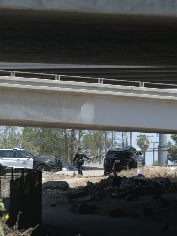 Homeless man found shot to death under 91 Freeway in North Long Beach, police say