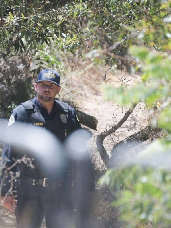Officers arrest robbery suspect who hid in wetlands along LA River, LBPD says