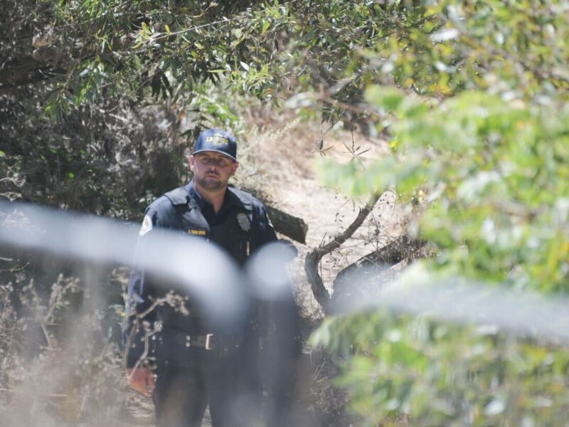 Officers arrest robbery suspect who hid in wetlands along LA River, LBPD says