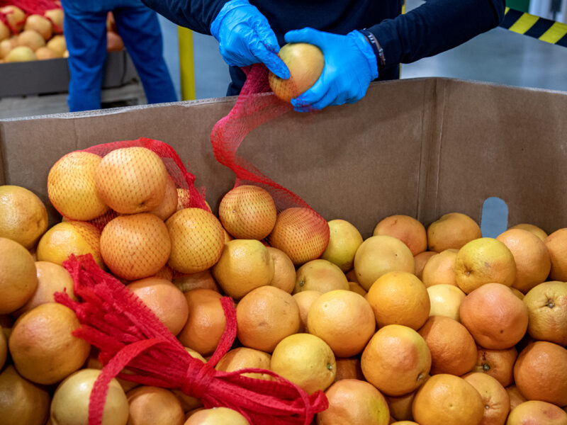 Popular food assistance program that offers extra money for fruits and veggies returns