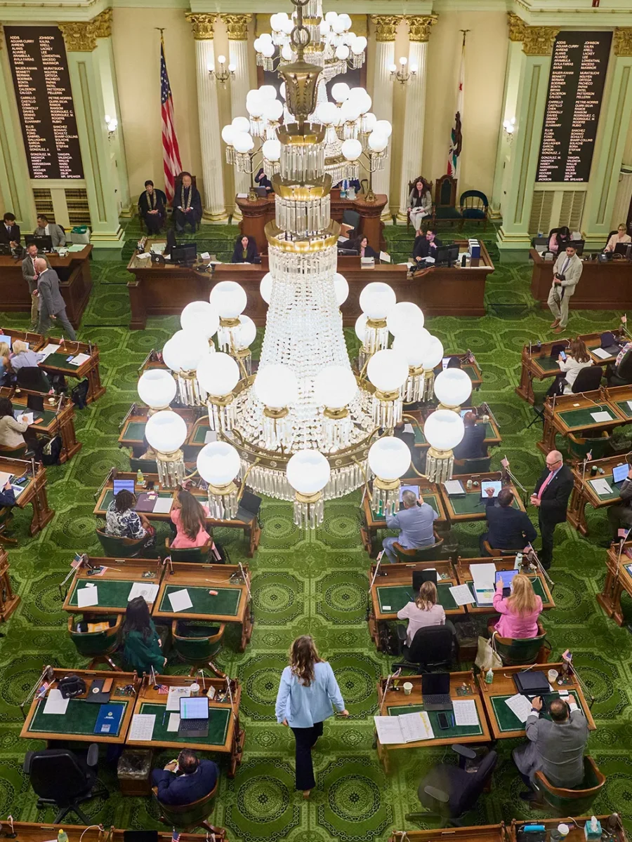 California lawmakers found money for these pet projects even as they slashed the budget