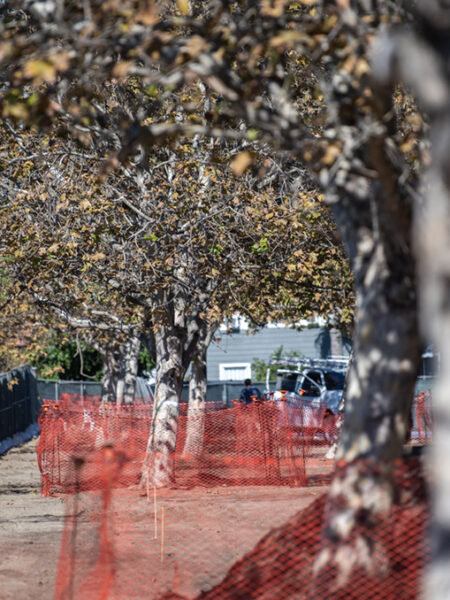 Long Beach breaks ground on new $6 million greenbelt along LA River