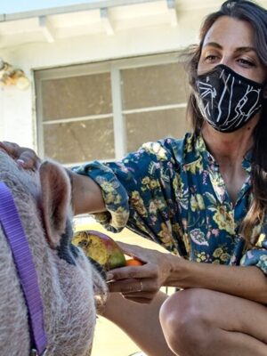 Woman accused of stealing $48K in rental security deposits to be released on probation