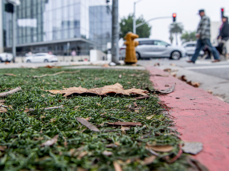 As it tries to cool neighborhoods, Long Beach seeks to sharpen its ban on some artificial turf