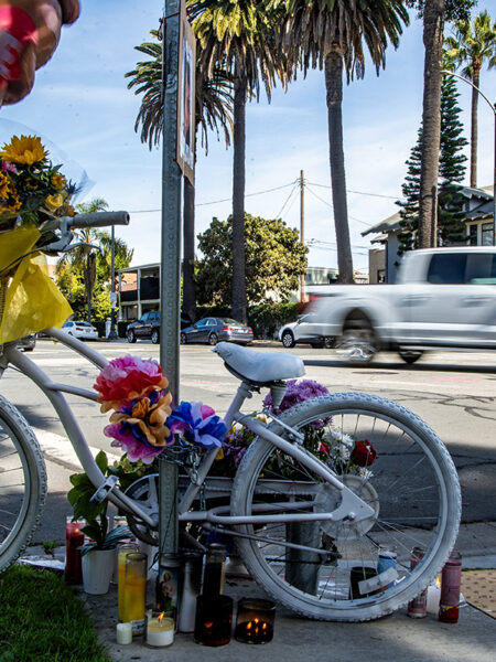 Man accused of killing Bluff Park bicyclist charged with manslaughter, hit-and-run