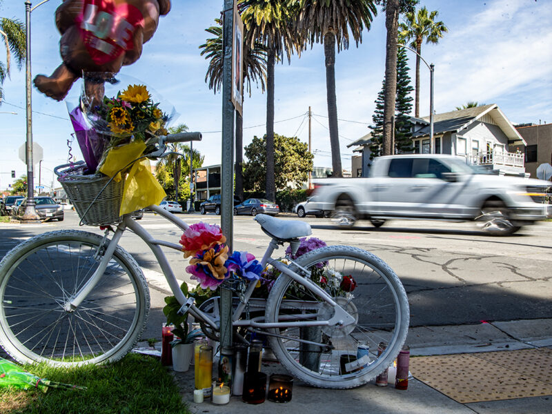 Man accused of killing Bluff Park bicyclist charged with manslaughter, hit-and-run