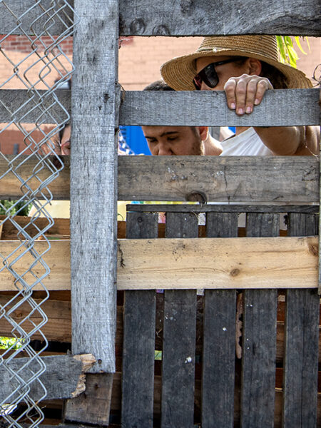 Thieves repeatedly steal tools, supplies from farm that teaches youth with disabilities how to garden 