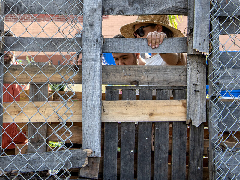 Thieves repeatedly steal tools, supplies from farm that teaches youth with disabilities how to garden 