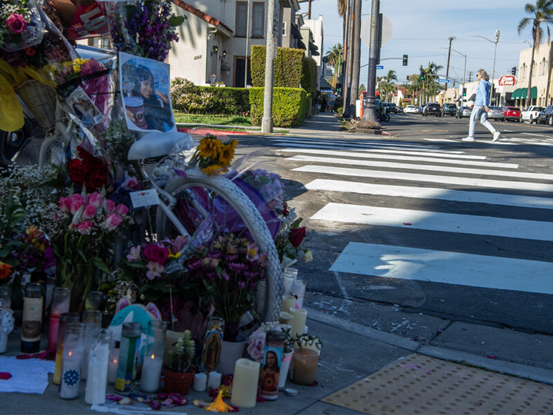 Hit-and-run driver who killed bicyclist in Bluff Park called police dispatch to confess, detectives say