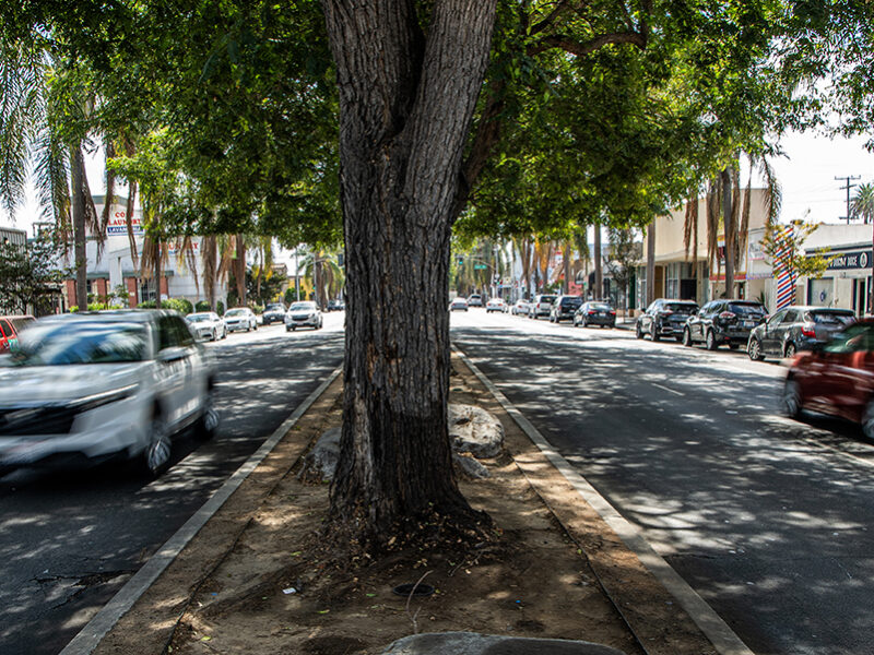 Long Beach’s streets are too dangerous, solutions too slow, City Council says