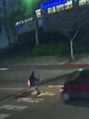 Police find van, still searching for driver in deadly hit-and-run