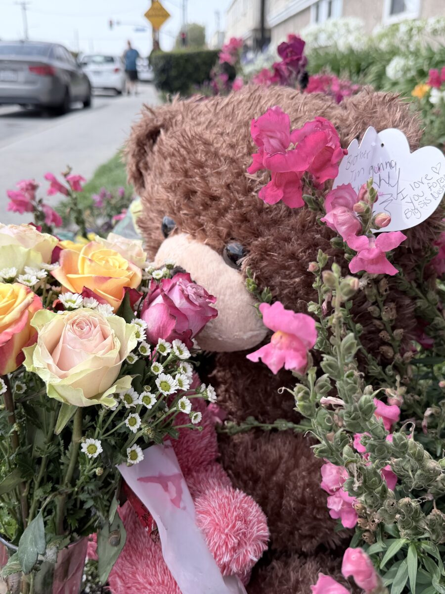 8-year-old boy killed in afternoon crash near North Long Beach park