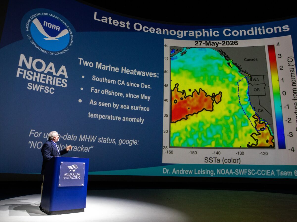 El Niño is here and strengthening rapidly. It could give Long Beach a preview of life after climate change