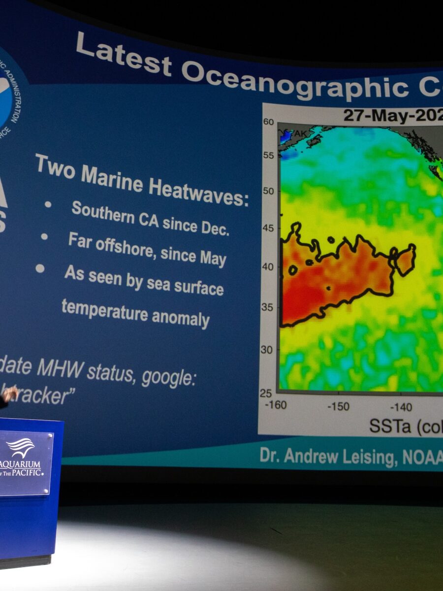 El Niño is here and strengthening rapidly. It could give Long Beach a preview of life after climate change
