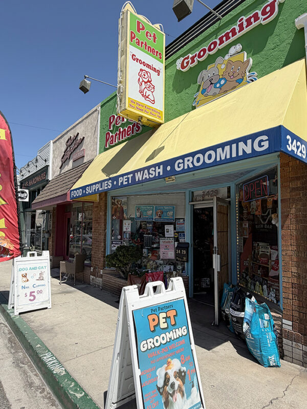 Local pet store asks for help finding burglar who stole cash, dog treats