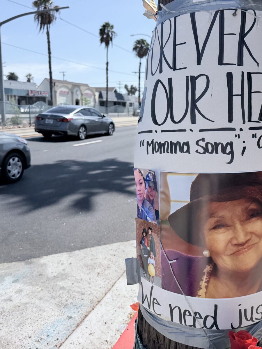 Woman killed in hit-and-run was a grandmother who loved to feed her neighbors