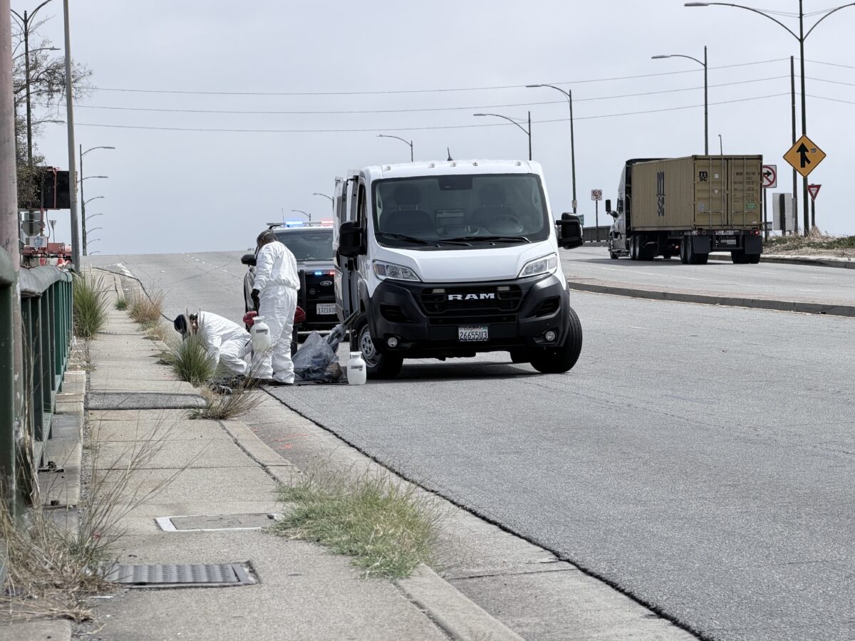 Man killed in morning hit-and-run on Anaheim Street, Long Beach police say