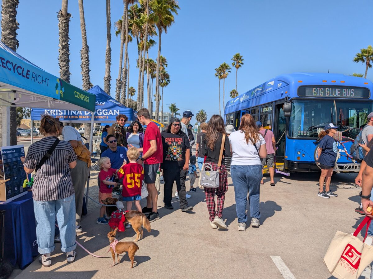 Nervous about taking the bus? Bus Fest is for you. It’s happening Sunday