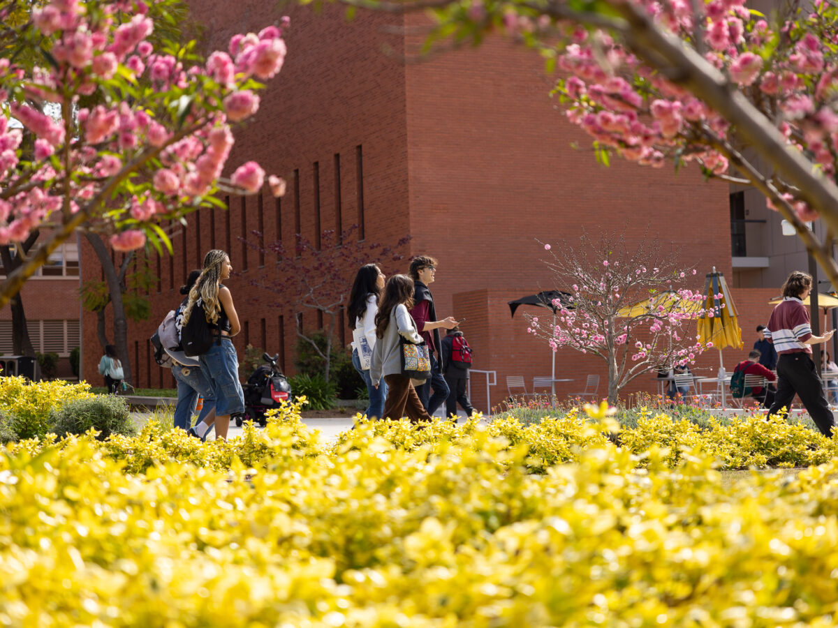 New year, new goals: take CSU classes without committing to a full program